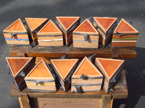 12 Boxes Drying in the Sun